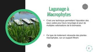 • C’est une technique permettant l’épuration des
eaux usées pour leurs recyclage et pour de
multiples valorisations de la biomasse.
• Ce type de traitement nécessite des plantes
macrophytes, sur un support filtrant.
Lagunageà
Macrophytes
7
 