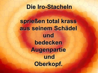 Die Iro-Stacheln sprießen total krass aus seinem Schädel und bedecken Augenpartie und Oberkopf. 