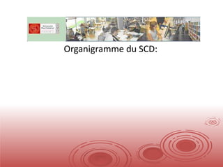Organigramme du SCD: 