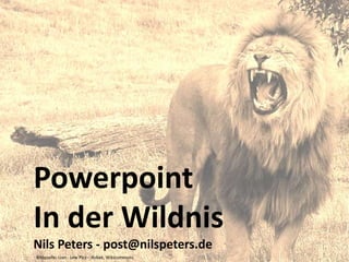 Powerpoint In der Wildnis Nils Peters - post@nilspeters.de Bildquelle: Lion - Lew Pics – Robek, Wikicommons 