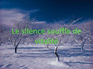 Le silence souffle de vitalité 