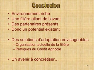 Environnement riche Une filière allant de l’avant Des partenaires présents Donc un potentiel existant Des solutions d’adaptation envisageables Organisation actuelle de la filière Pratiques du Crédit Agricole Un avenir à concrétiser… Conclusion 