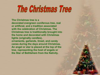 The Christmas tree is a
decorated evergreen coniferous tree, real
or artificial, and a tradition associated
with the celebration of Christmas. The
Christmas tree is traditionally brought into
the home and decorated with Christmas
lights (originally candles),
ornaments, garlands, tinsel, and candy
canes during the days around Christmas.
An angel or star is placed at the top of the
tree, representing the host of angels or
the Star of Bethlehem from the Nativity.
 