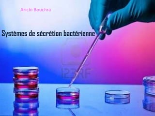 Arichi Bouchra



Systèmes de sécrétion bactérienne
 
