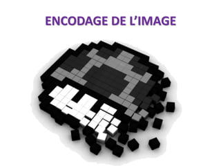 ENCODAGE DE L’IMAGE
 