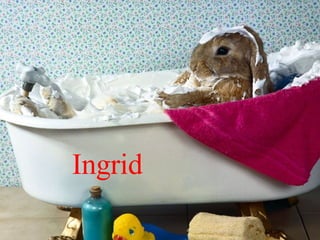 Ingrid   