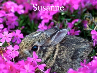 Susanne 