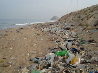Surfrider Foundation