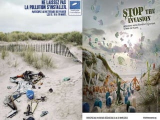 Surfrider Foundation