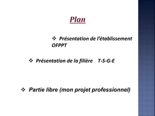 Plan
 Présentation de l’établissement
OFPPT
 Présentation de la filière T-S-G-E
 Partie libre (mon projet professionnel)
 