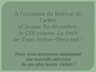 À l’occasion du festival de 
l’arbre 
et jusque fin décembre, 
le CDI expose La forêt 
de Yann Arthus-Bertrand ! 
Nous vous proposons maintenant 
une nouvelle sélection 
de ses plus beaux clichés ! 
 