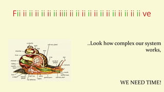 Fiiiiiiiiiiiiiiiiiiiiiiiiiiiiiiiiiiiiiiiiiiiiiiiiiiiiiiiiiiiiiive
..Look how complex our system
works,
WE NEED TIME!
 
