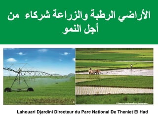 Lahouari Djardini Directeur du Parc National De Theniet El Had
 