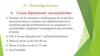 III. Pharmacologiede curares
A. Curare dépolarisant: succinylcholine
 Fixation sur les récepteurs cholinergique de la jonction
neuromusculaire et entraine une dépolarisation de la
membrane par désensibilisation de ces récepteurs a l’
acétylcholine ,empêchant la propagation des potentiels
d’action.
 Elle n’est pas dégradée par l’ acétylcholinestérases
 Délai d’action est de 30 a 60 sec
 Duree d’action est de 6 a 12 min
 Pas d’antidote
 