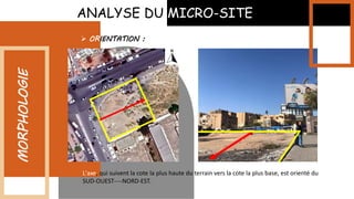 ANALYSE DU MICRO-SITE
MORPHOLOGIE
 ORIENTATION :
L'axe, qui suivent la cote la plus haute du terrain vers la cote la plus base, est orienté du
SUD-OUEST----NORD-EST.
 