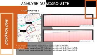 ANALYSE DU MICRO-SITE
MORPHOLOGIE
• Le terrain se trouve entre les courbes de niveaux 728m et 731.57m.
• Selon la coupe topographique AA : le terrain a une dénivelé de 2.6% vers le N-O.
• Selon la coupe topographique BB : le terrain a une dénivelé de 8.3% vers le S-O.
 TOPOGRAPHIE :
Coupe AA
Coupe BB
Coupe topographique AA
Coupe topographique BB
 