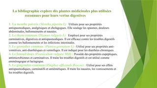 La bibliographie explore dix plantes médicinales plus utilisées
reconnues pour leurs vertus digestives
1. La menthe poivrée (Mentha piperita L) : Utilisée pour ses propriétés
antispasmodiques, analgésiques et cholagogues. Elle soulage les spasmes, douleurs
abdominales, ballonnements et nausées.
2. Le thym commun (Thymus vulgaris L) : Employé pour ses propriétés
carminatives, digestives et antispasmodiques. Il est efficace contre les troubles digestifs
comme les ballonnements et les infections intestinales.
3. Le grenadier commun (Punica granatum L) : Utilisé pour ses propriétés anti-
vomitives, anti-diarrhéiques et vermifuges. Il est indiqué pour les diarrhées chroniques.
4. Le fenouil doux (Foeniculum vulgare Mill) : Possède des propriétés eupeptiques,
antimicrobiennes et carminatives. Il traite les troubles digestifs et est utilisé comme
emménagogue et lactagogue.
5. Le gingembre commun (Zingiber officinale Roscoe) : Utilisé pour ses effets
antispasmodiques, carminatifs et antiémétiques. Il traite les nausées, les vomissements et
les troubles digestifs.
 