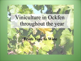 [object Object],From Vine to Wine 