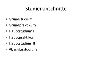 Studienabschnitte Grundstudium Grundpraktikum Hauptstudium I Hauptpraktikum Hauptstudium II Abschlusstudium 
