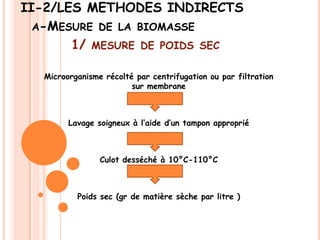 II-2/LES METHODES INDIRECTS
  A-MESURE DE LA BIOMASSE
       1/ MESURE DE POIDS SEC

   Microorganisme récolté par centrifugation ou par filtration
                         sur membrane



         Lavage soigneux à l’aide d’un tampon approprié



                 Culot desséché à 10°C-110°C



           Poids sec (gr de matière sèche par litre )
 