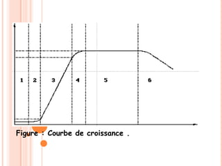 Figure : Courbe de croissance .
 
