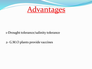 Advantages 
1-Drought tolerance/salinity tolerance 
2- G.M.O plants provide vaccines 
 
