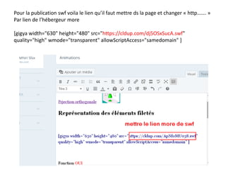 Pour la publication swf voila le lien qu’il faut mettre ds la page et changer « http……. »
Par lien de l’hébergeur more
[gigya width="630" height="480" src="https://cldup.com/dj5OSxSucA.swf"
quality="high" wmode="transparent" allowScriptAccess="samedomain" ]
 