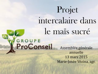 Projet
intercalaire dans
le maïs sucré
Assemblée générale
annuelle
13 mars 2015
Marie-Josée Vézina, agr.
 