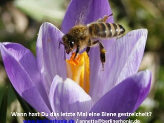 Wann hast Du das letzte Mal eine Biene gestreichelt?
Wann hast Du das letzte Mal eine Biene gestreichelt?
www.berlinerhonig.de / annette@berlinerhonig.de
 
