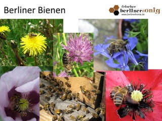 Berliner Bienen
 