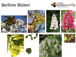 Berliner Blüten
 