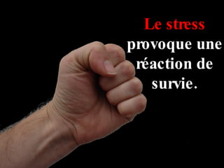 Le stress  provoque une réaction de survie. 
