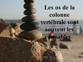 Les os de la colonne vertébrale sont souvent les coupables.  