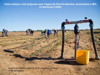 I&P - LE SIECLE DE L'AFRIQUE
Cette analyse a été préparée avec l’appui de Pierrick Baraton, économiste à I&P,
et doctorant CERDI.
Système d’irrigation efficient, Delta Irrigation, Sénégal
© Béchir Malum
 