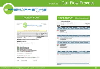 SERVICES | Call Flow Process 
ACTION PLAN FINAL REPORT (direct web access) 
More information: ibremarketing.com/services/it-support-maintenance.html - 21 - 
 