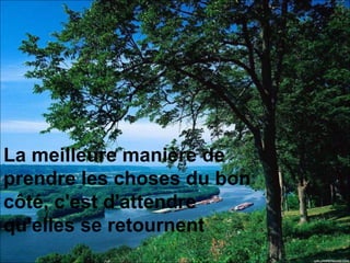 La meilleure manière de  prendre les choses du bon  côté, c'est d'attendre  qu'elles se retournent   
