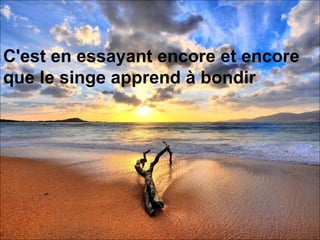 C'est en essayant encore et encore que le singe apprend à bondir   