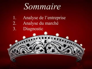 Sommaire 
1. Analyse de l’entreprise 
2. Analyse du marché 
3. Diagnostic 
 