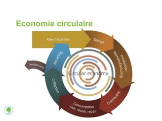 Economie circulaire 
 