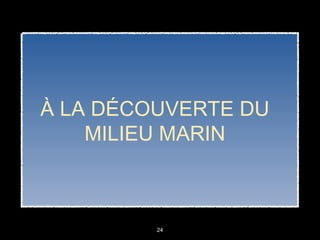 24
À LA DÉCOUVERTE DU
MILIEU MARIN
