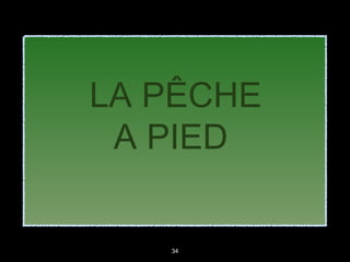 34
LA PÊCHE
A PIED