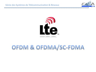Génie des Systèmes de Télécommunication & Réseaux,[object Object],OFDM & OFDMA/SC-FDMA,[object Object]
