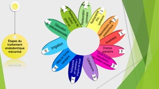 Étapes du
traitement
endodontique
mécanisé
Champs
opératoire
4
 