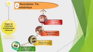 Étapes du
traitement
endodontique
mécanisé
Reconstitution Pré-
endodontique
2
Mise en place d’un
champ opératoire
étanche et stable
Obtenir une cavité
coronaire à 4 parois
Protéger la dent
de la fracture
Obtenir une
restauration
provisoire étanche
 
