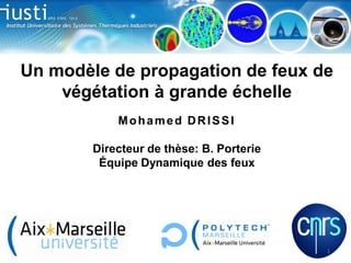 Un modèle de propagation de feux de
végétation à grande échelle
Mohamed DRISSI
Directeur de thèse: B. Porterie
Équipe Dynamique des feux

1

 
