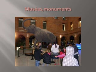 Présentation accueil