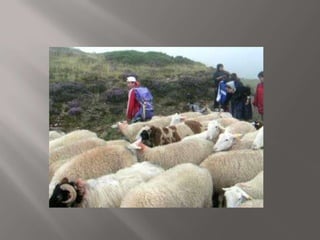 Présentation accueil