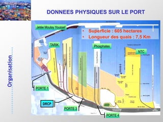 49
DONNEES PHYSIQUES SUR LE PORT
• Superficie : 605 hectares
• Longueur des quais : 7,5 Km
NTC
TARIK
PORTE 1
PORTE 3
PORTE 4
Phosphates
Jetée Moulay Youssef
DRCP
 