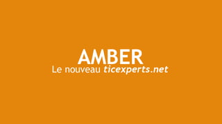 Amber, le nouveau ticexperts.net