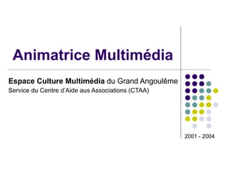 Animatrice Multimédia Espace Culture Multimédia  du Grand Angoulême Service du Centre d’Aide aus Associations (CTAA) 2001 - 2004 